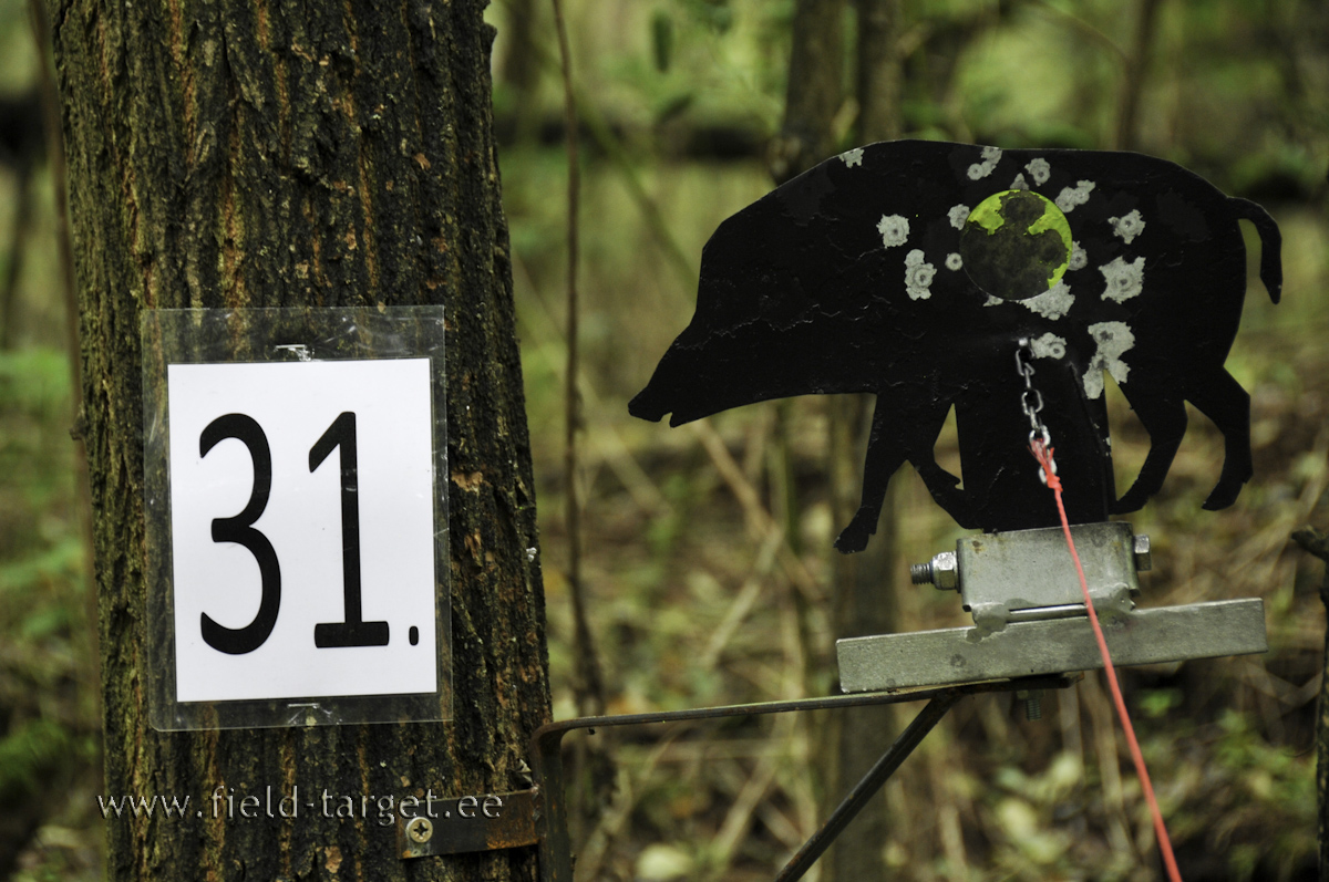 Metssiga tabamisalaga 40 mm ja 50 m kaugusel